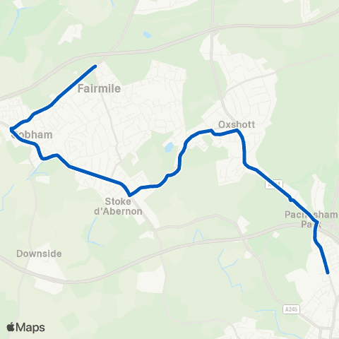 Cardinal Buses All Saints School - Fairmile Lane map