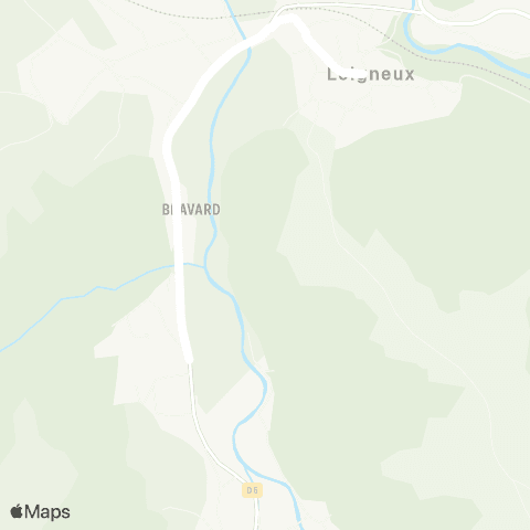 ARA Cars Région Loire Sail-sous-Couzan - Sail-sous-Couzan map