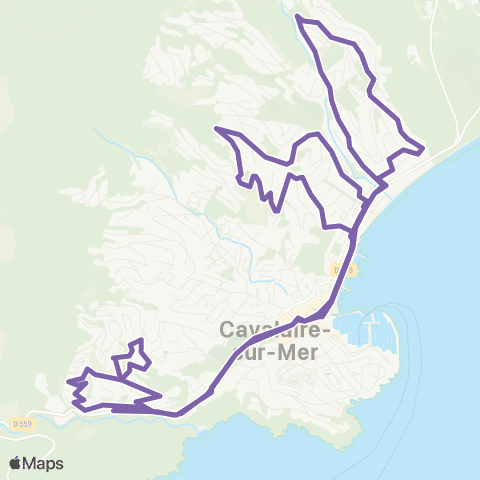 Navette Cavalaire  map