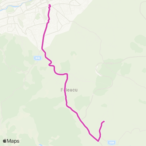 CTP Cluj P-ta Cipariu - Valcele map