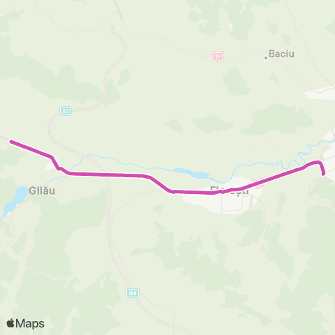 CTP Cluj Bucium - Pensiunea Dalia Gilau map
