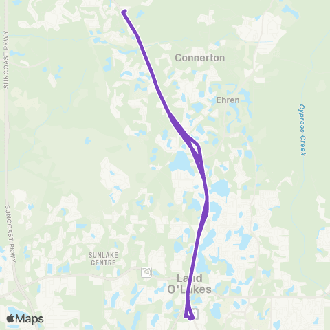 GoPasco Central Blvd / Land O Lakes Blvd – Dale Mabry Hwy / Walmart map