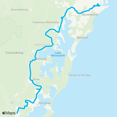 Temporary buses Wyong, then all stations to Newcastle map
