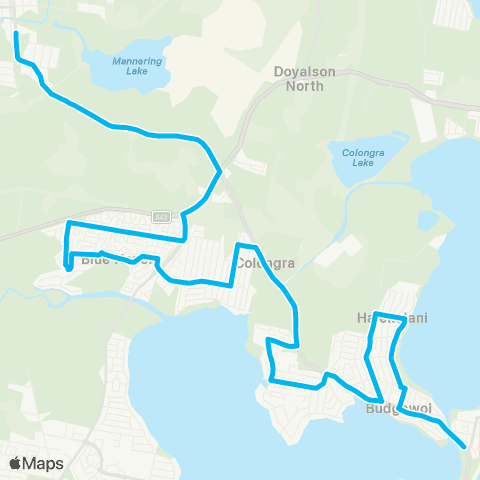 Central Coast Buses Network Budgewoi to Wyee via Blue Haven map