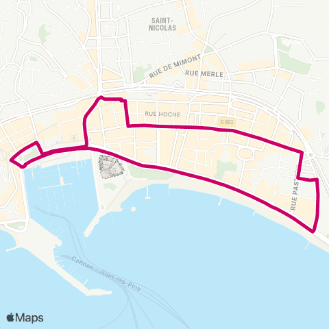 Palmbus City Palm - Navette Centre Ville map