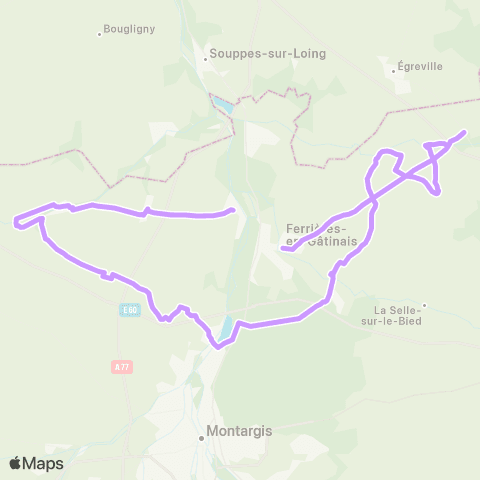 Rémi 45 Ferrières-en-Gâtinais map