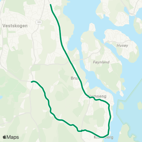 VKT - Vestfold Kollektivtrafikk HJemseng-Borgheim map