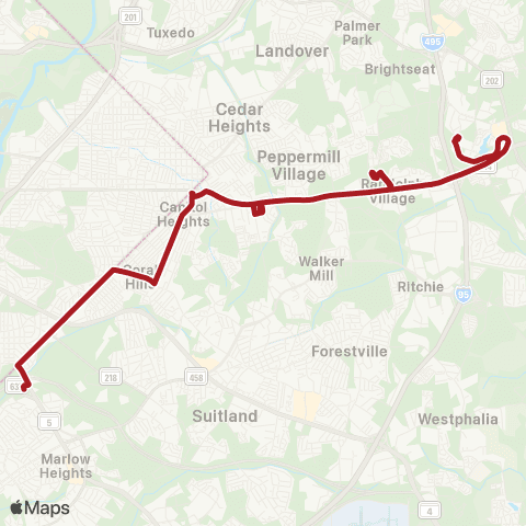 Metrobus Central Av-Naylor Rd map
