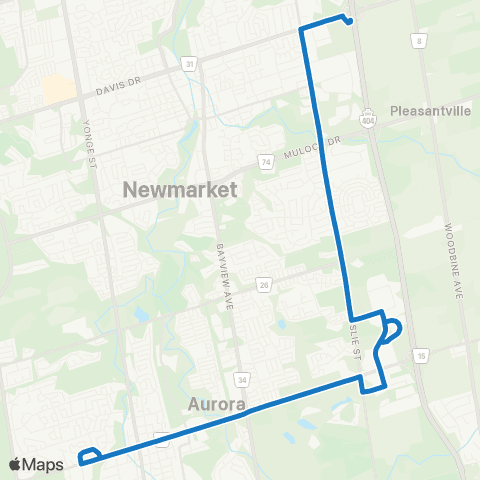 YRT Wellington - Leslie map