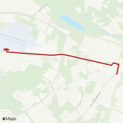 ZTM Poznań Port Lotniczy Ławica - Poznań Główny|Poznań Główny - Port Lotniczy Ławica map