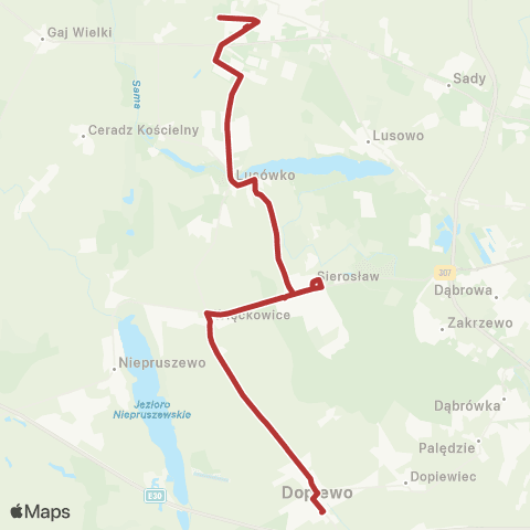 ZTM Poznań Tarnowo Pdg Termy - Dopiewo Dworzec Kolejowy|Dopiewo Dworzec Kolejowy - Tarnowo Pdg Termy map